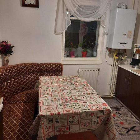 Deny Apartman Сфынту-Георге Экстерьер фото