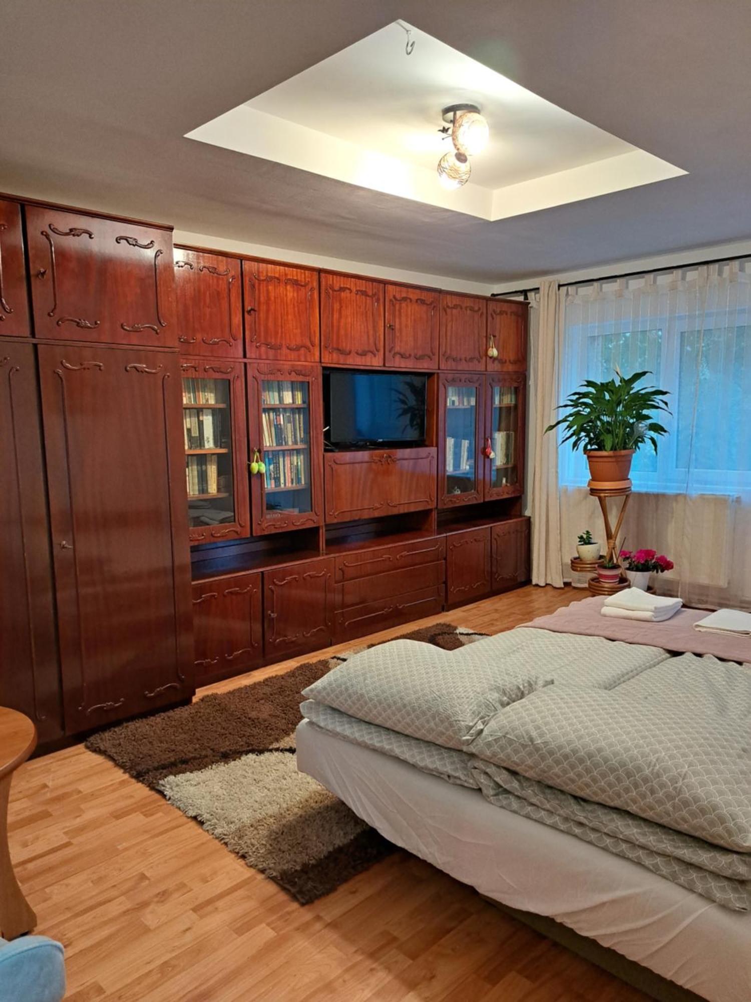 Deny Apartman Сфынту-Георге Экстерьер фото